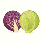 Semena podle doby výsevu – jarní, letní, podzimní i zimní