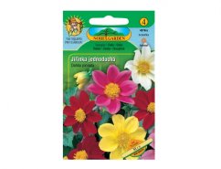 Paquete de semillas de dalia de jardín Simple Mix con flores de colores en envase verde - dalias blancas, rosas, rojas y amarillas con centros amarillos