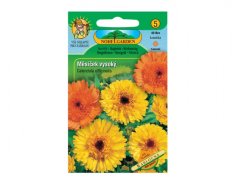 Měsíček lékařský vysoký Kablouna